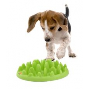 Mini Green Dog Interactive Slow Feeder